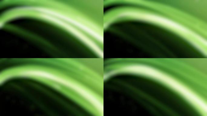 4k抽象绿色背景可循环