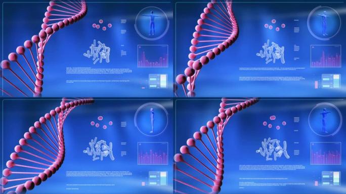 计算机屏幕上的动画DNA链。