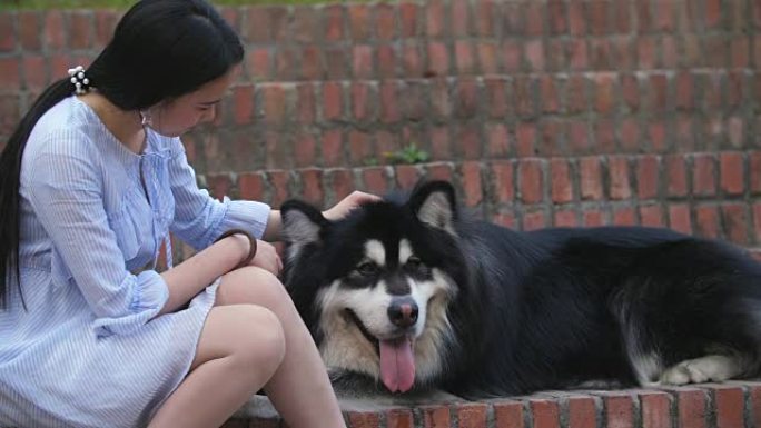 年轻的亚洲妇女抱着她的狗阿拉斯加雪橇犬户外，4k