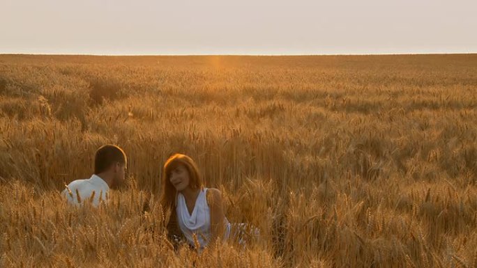 HD：小麦中的浪漫时刻
