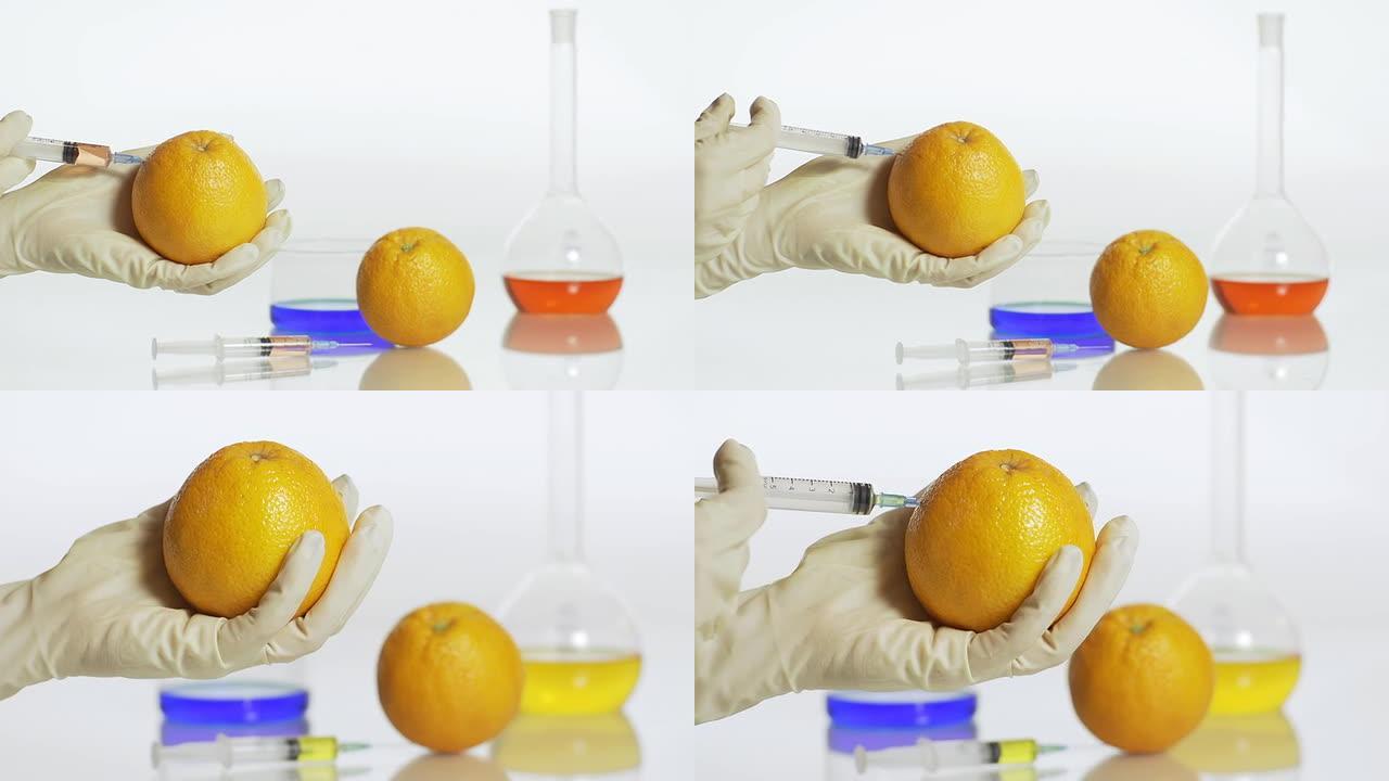 高清多莉: 对橘子进行基因改造