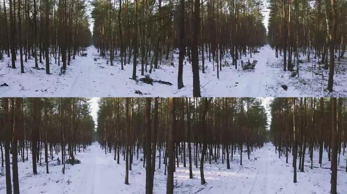 冬季白雪皑皑森林的高角度视图。积雪铺在地面上