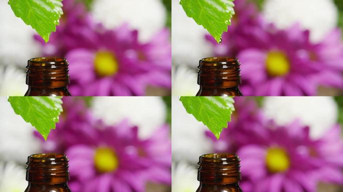 精油与水滴，气味和香气的混合在芳香疗法中，用于健康和水疗。美的概念。芳香精油。精华从叶子掉落到健康中