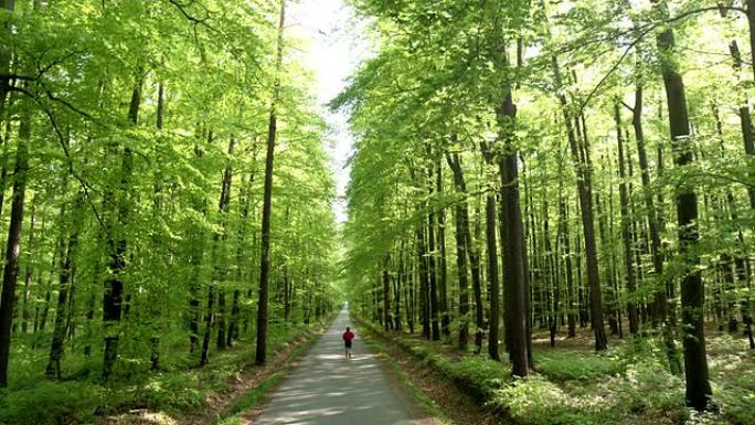 高清起重机: 在森林道路上慢跑