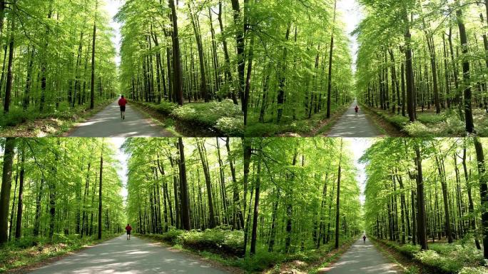 高清起重机: 在森林道路上慢跑