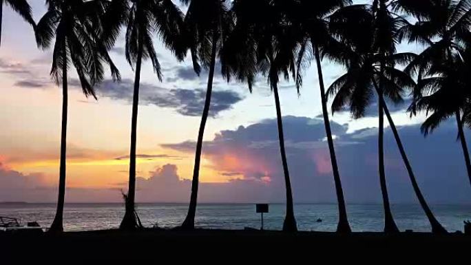 热带岛屿上美丽的日落。棕榈树的轮廓