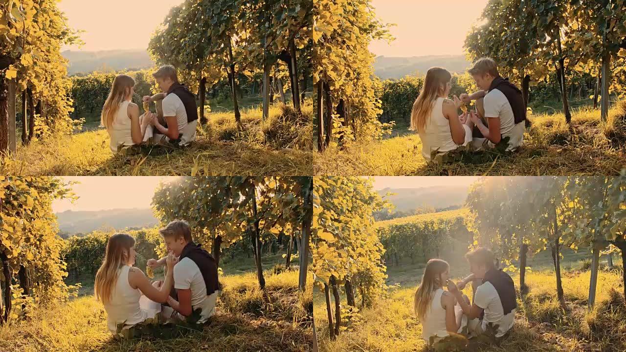 夫妇在葡萄园里吃葡萄