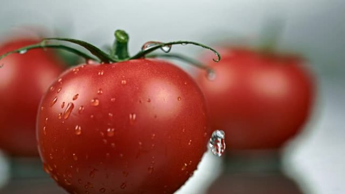 SLO MO水滴落在番茄的茎上