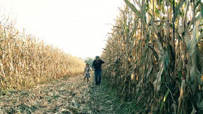 HD DOLLY：农民带着孩子在玉米地里散步