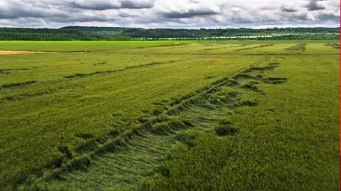 空中: 有风损坏的小麦田
