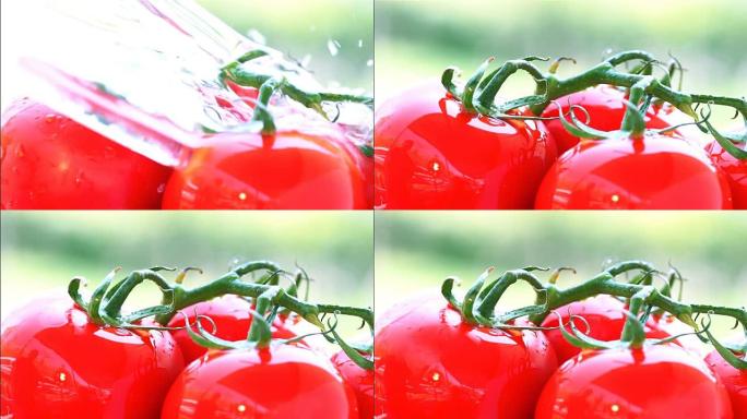 新鲜西红柿，慢动作