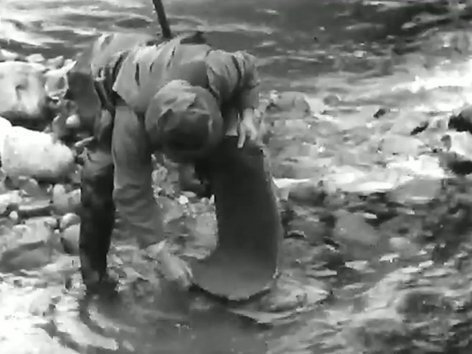1951年战后日本 淘金热潮