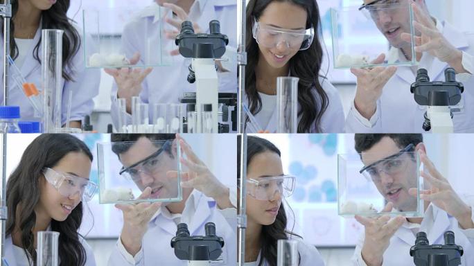 两名医学研究科学家在玻璃笼子里看着实验室老鼠的特写镜头。实验室明亮而现代