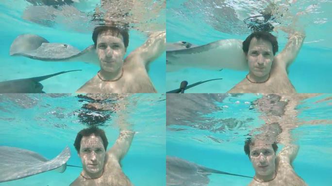 水下: 快乐的男性游客与黄貂鱼和鲨鱼一起游泳。
