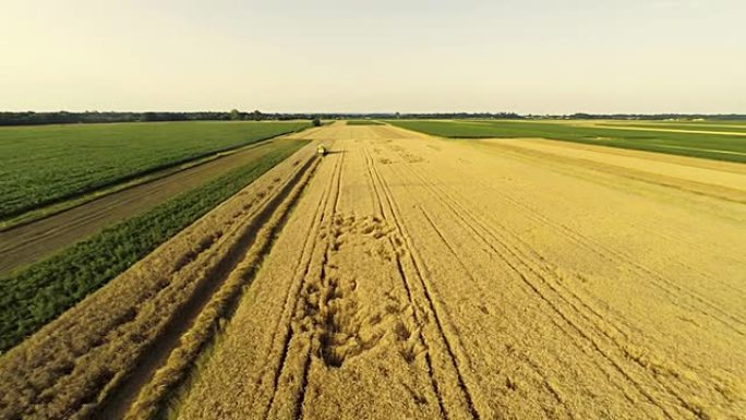 空中农民收割小麦