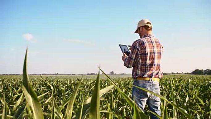 SLO MO美国农民在田间使用平板电脑