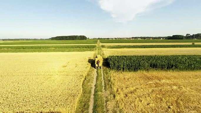 用拖拉机空运包麦田航拍粮食种植金色小麦