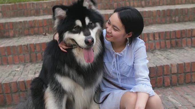 年轻女子抱着她的狗阿拉斯加雪橇犬并在户外亲吻的特写镜头，4k