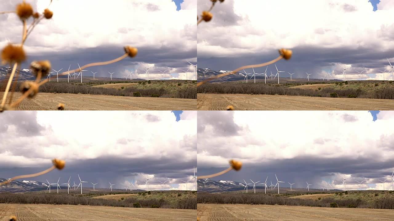加州的DS风力涡轮机