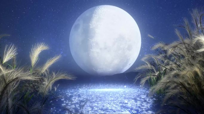 月亮_芦苇唯美3D场景-循环