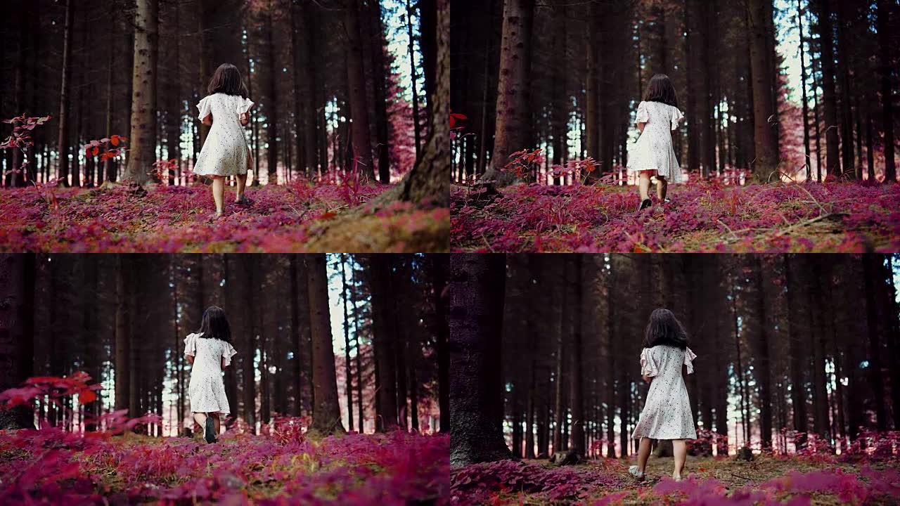 在森林中漫步的学龄前女孩