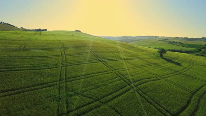 空中绿色托斯卡纳乡村