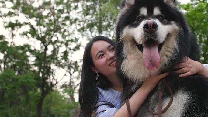 快乐的年轻亚洲女人抱着她的狗阿拉斯加雪橇犬户外，4k