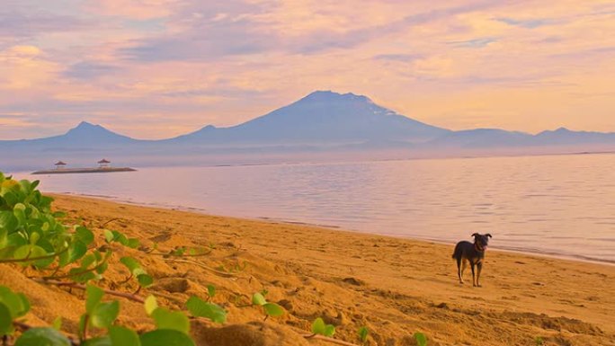 远景：从萨努尔海滩拍摄的古农巴图尔火山。