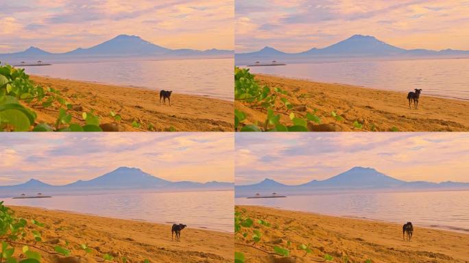 远景：从萨努尔海滩拍摄的古农巴图尔火山。
