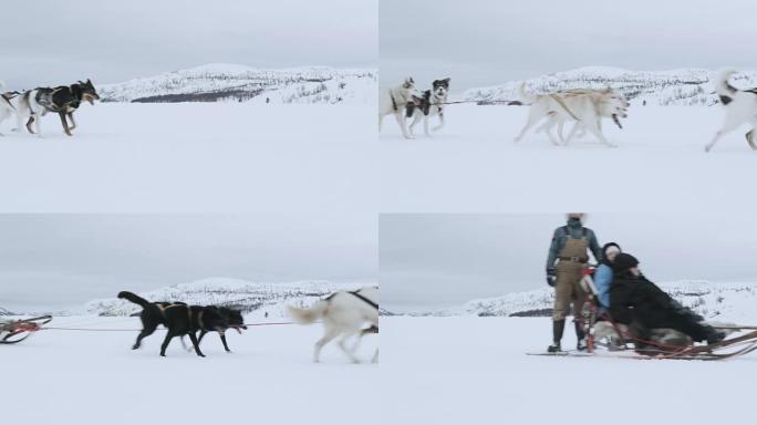 WS狗拉着三个人坐在雪橇上