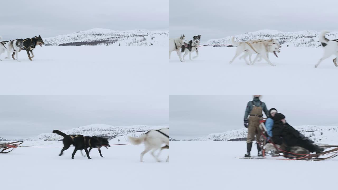 WS狗拉着三个人坐在雪橇上