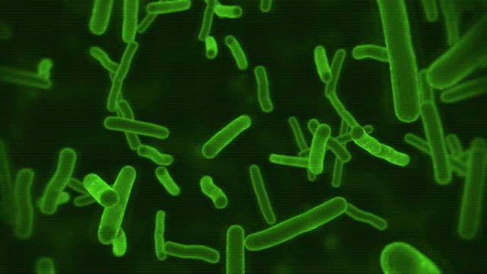 绿色显微镜生态细菌