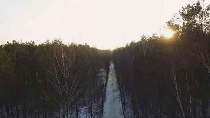 冬季落叶森林的鸟瞰图。积雪铺在地面上