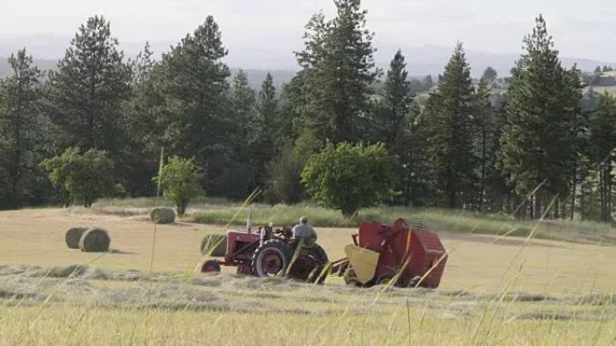 拖拉机上的农民给干草