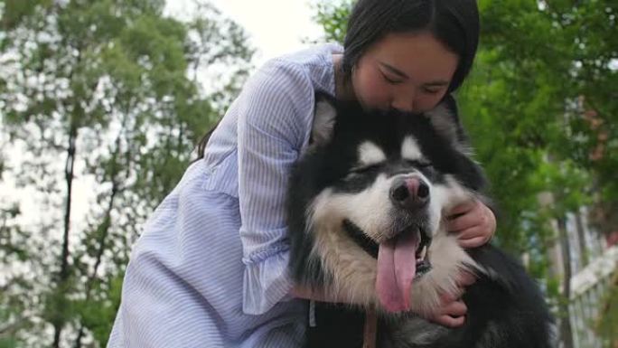 快乐的年轻亚洲女人抱着她的狗阿拉斯加雪橇犬户外，4k