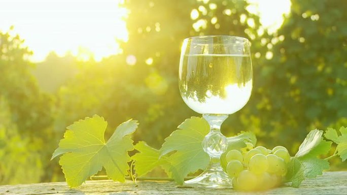 高清DOLLY：葡萄园里的葡萄酒背光杯