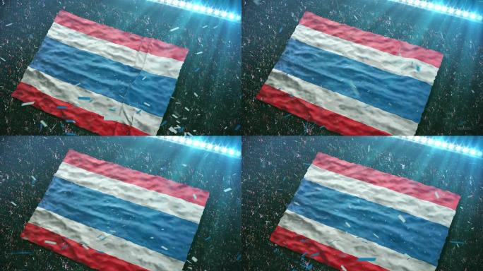 体育场的哥斯达黎加国旗