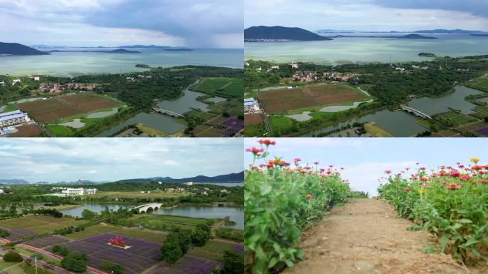 苏州高新区美丽乡村西京湾花海