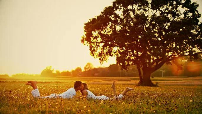 WS爱侣在日落时在草地上接吻