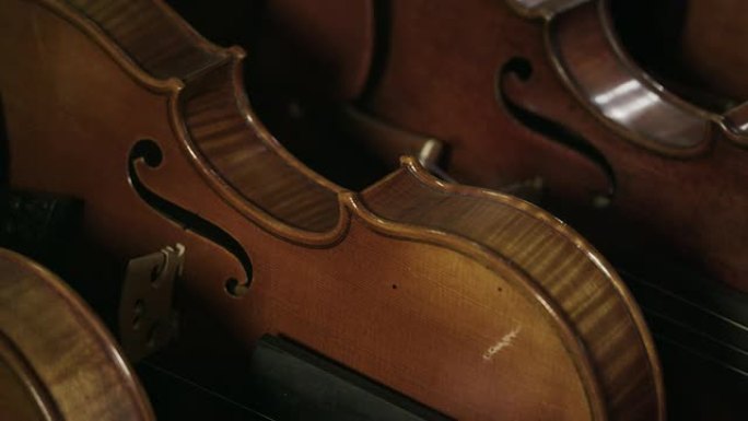 小提琴制造者小提琴音乐艺术家手工艺制作
