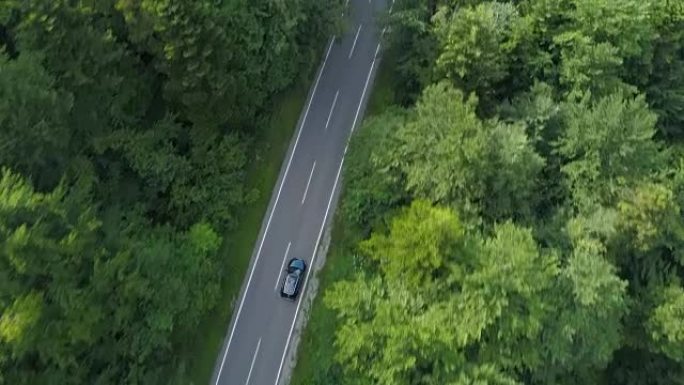 空中: 游客在乡村田园诗般的森林中轻松驾车