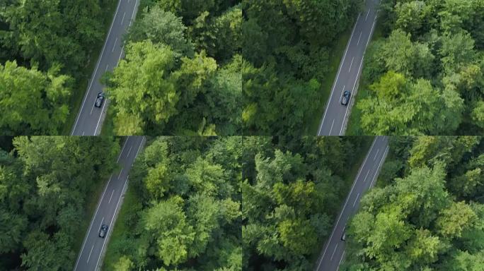 空中: 游客在乡村田园诗般的森林中轻松驾车