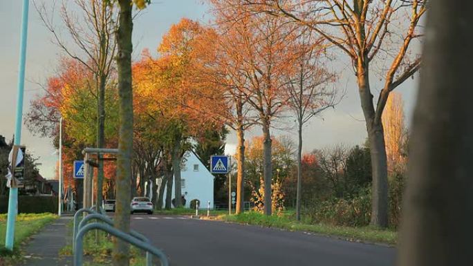 起重机下降：秋季道路