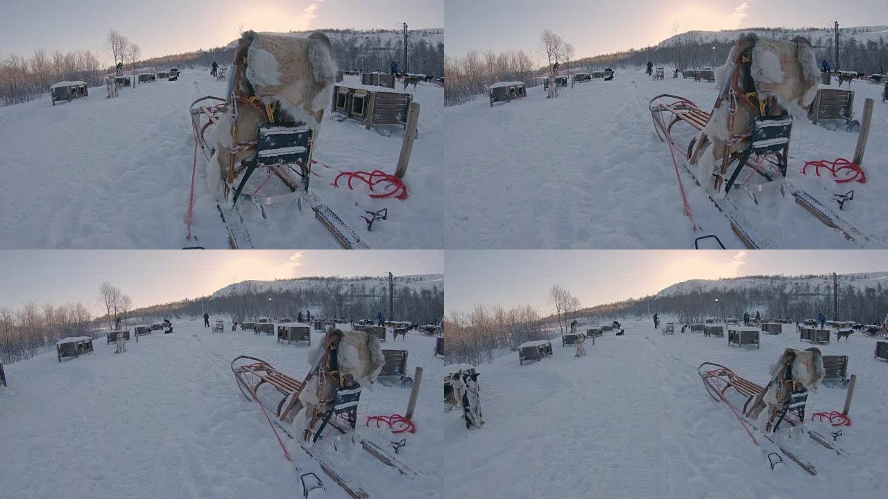 SLO MO雪橇用于狗拉雪橇