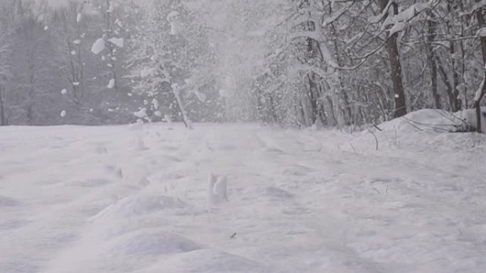 HD SUPER SLOW MO：地面上的雪