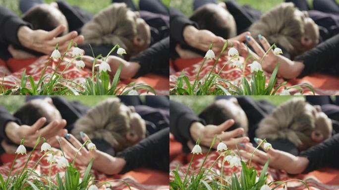 高清多莉: 夫妇躺在草地上