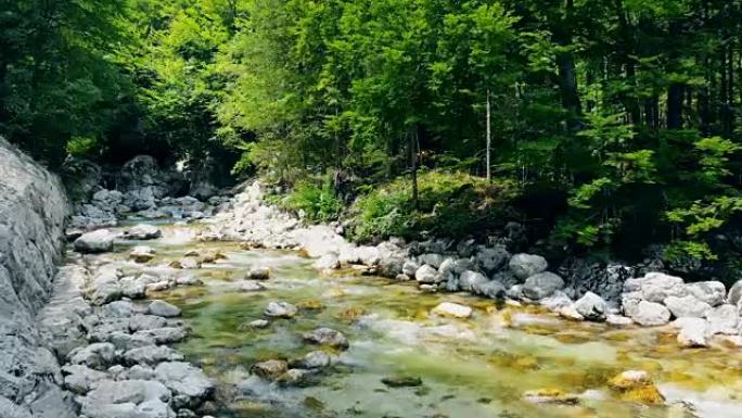 森林景观有流水、山河和岩石。