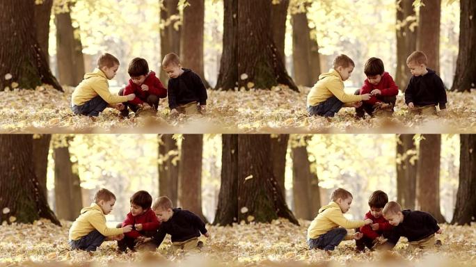 小男孩玩秋叶小男孩玩秋叶秋天