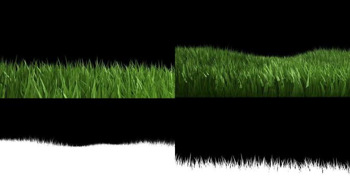 绿草如茵绿草带通道草坪透明底