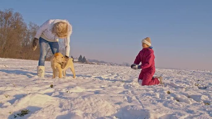 远景：与小狗在雪地里玩得开心